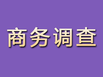 商河商务调查